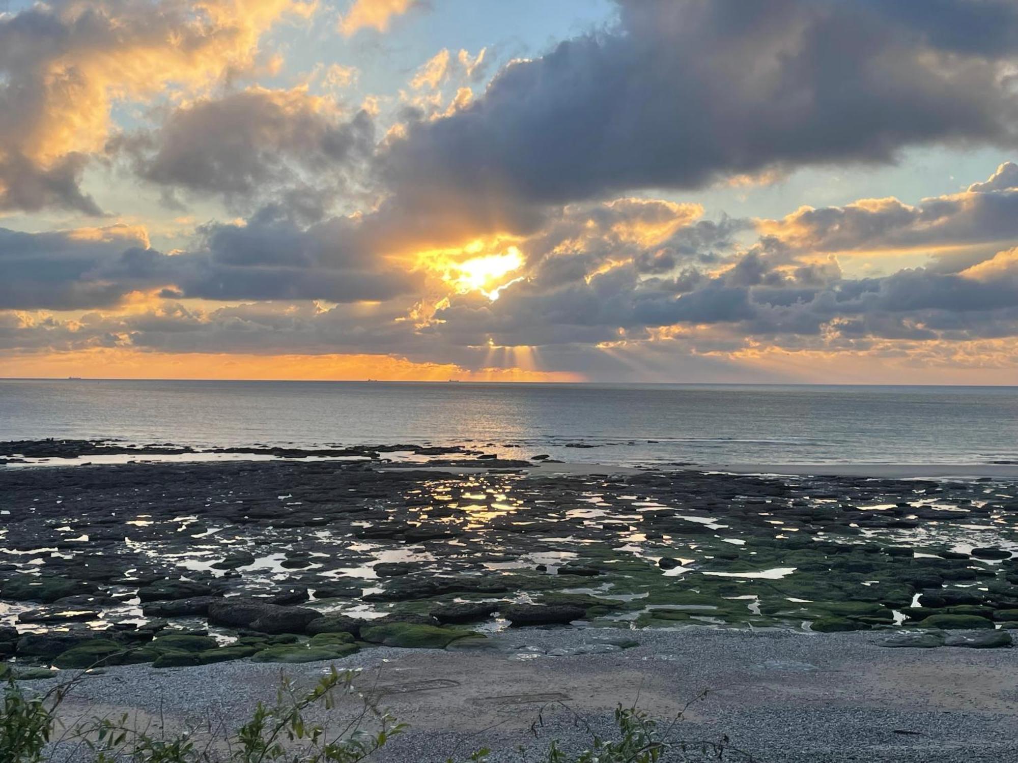 Vila Anemone Audresselles Exteriér fotografie